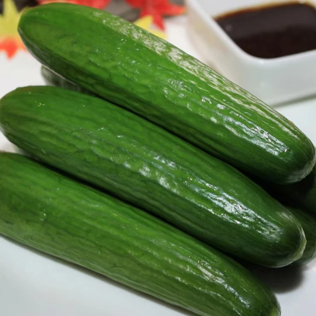 【一箱】新鲜的水果黄瓜鲜嫩1.2kg