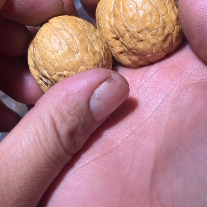 文玩核桃吊坠滇西56