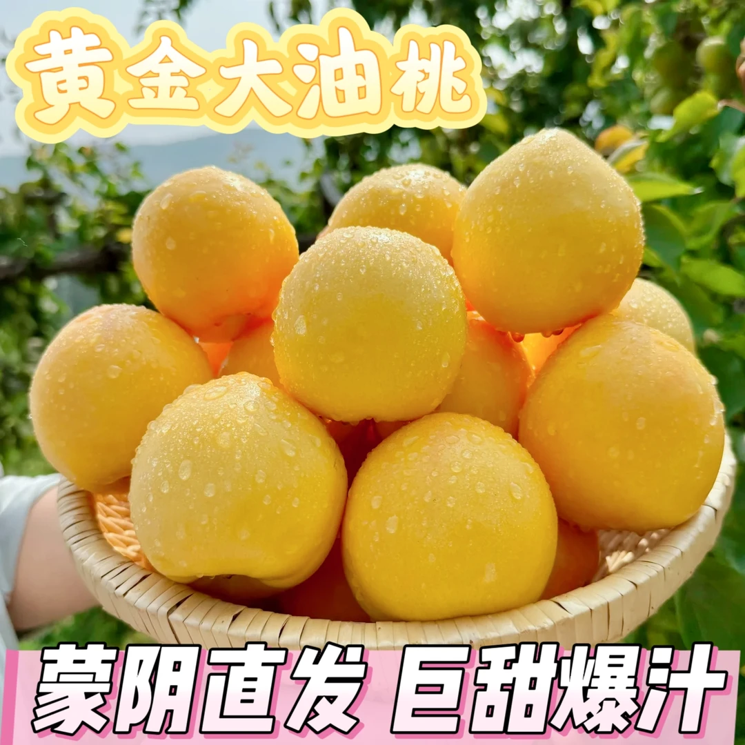 【钻石老店】黄金油桃产地直发现摘现发脆甜多汁当季鲜果坏烂包赔