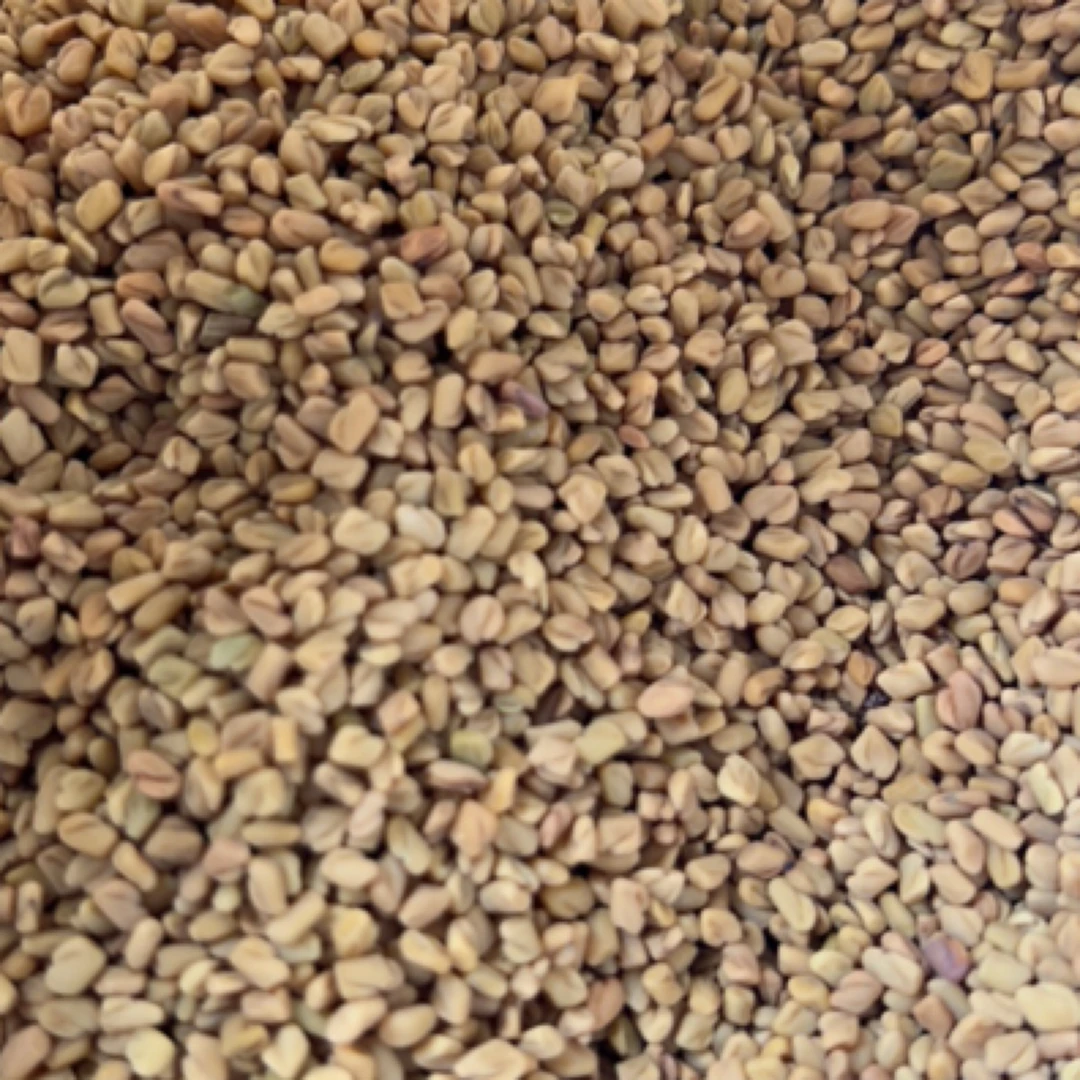 云南高山高海拔天王丹