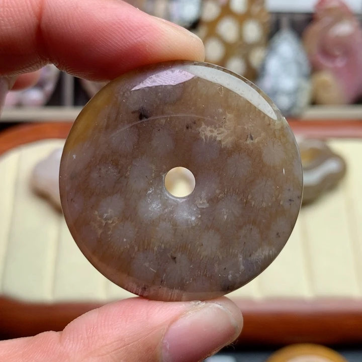 硅化珊瑚（珊瑚玉）颈饰未镶嵌