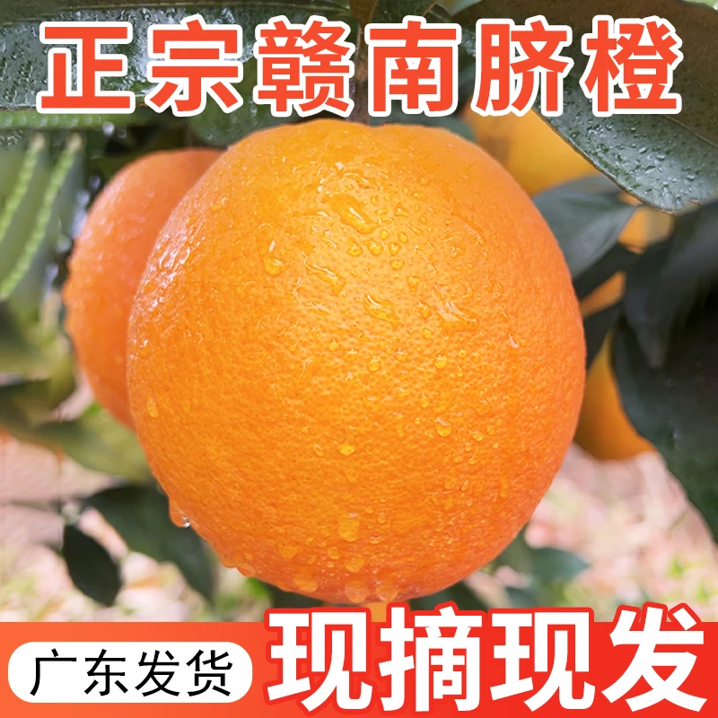 江西赣南脐橙橙子新鲜水果当季整箱10斤装正宗精品大果赣州甜现摘