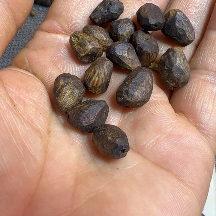 许***许沉香碎屑沉香树丁散珠5克