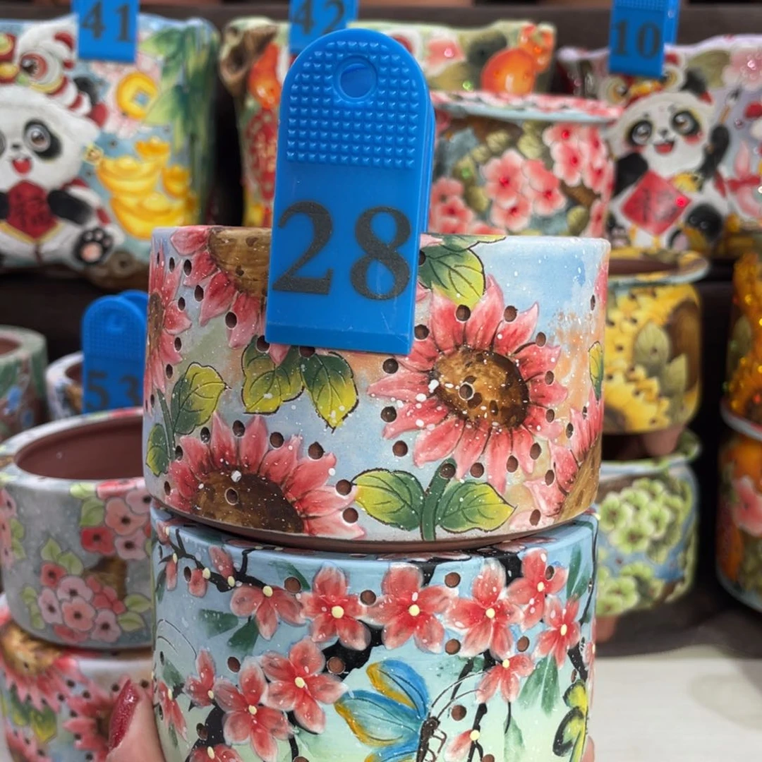 红陶明*明多肉花盆顶冠