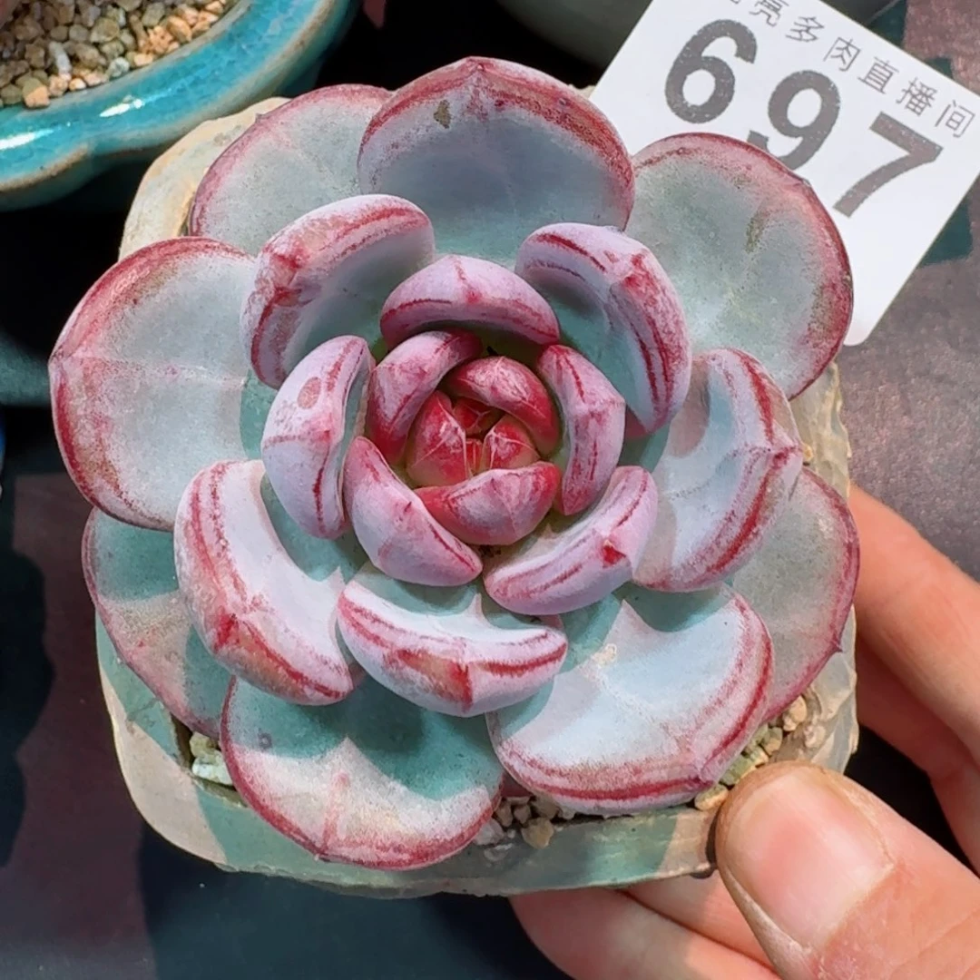 长相思      愿你一路坦途，乘风破浪展宏图