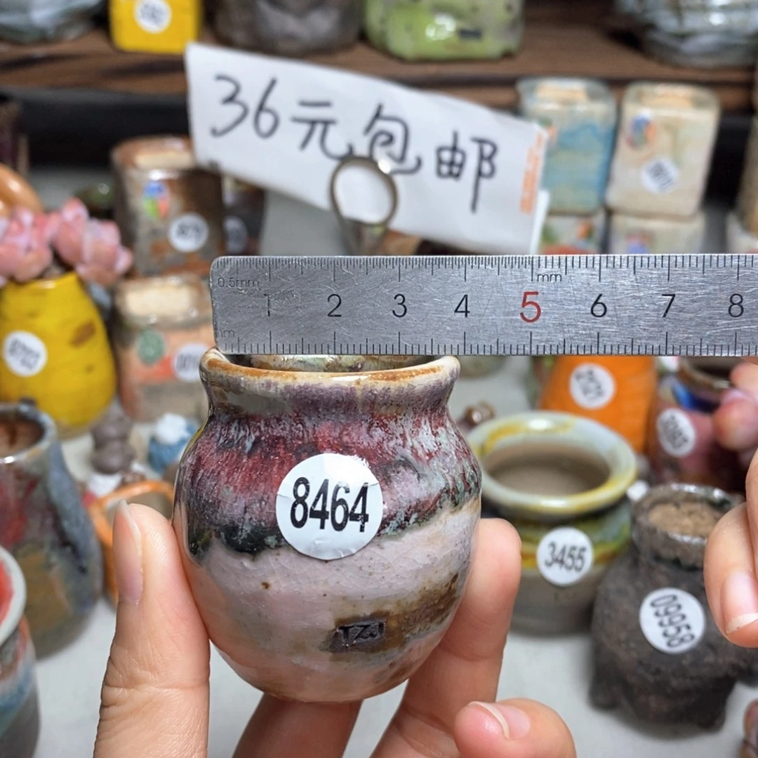 拍5送一个小礼物