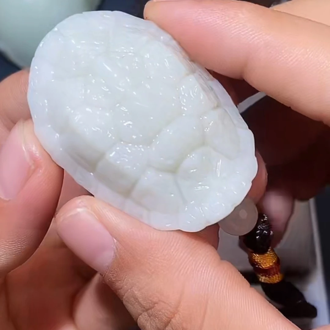 龟9.16HX多样性拍一发一