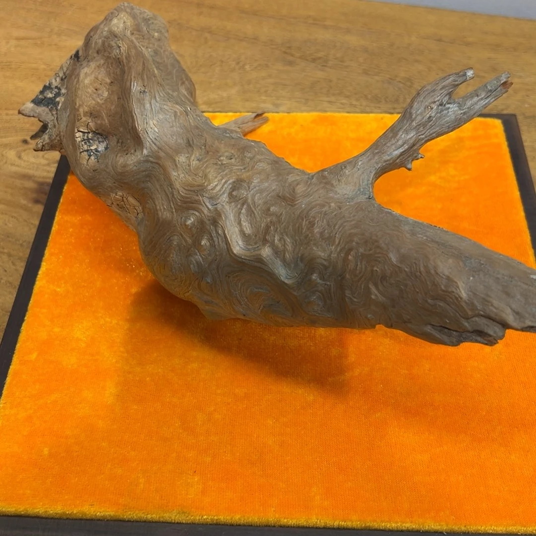 一***光木今晚有吧不回你电话呀