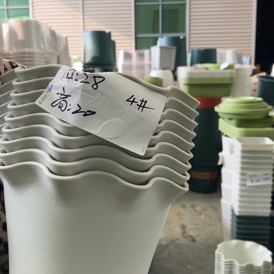 瑕疵荷叶色5#米白6个无托