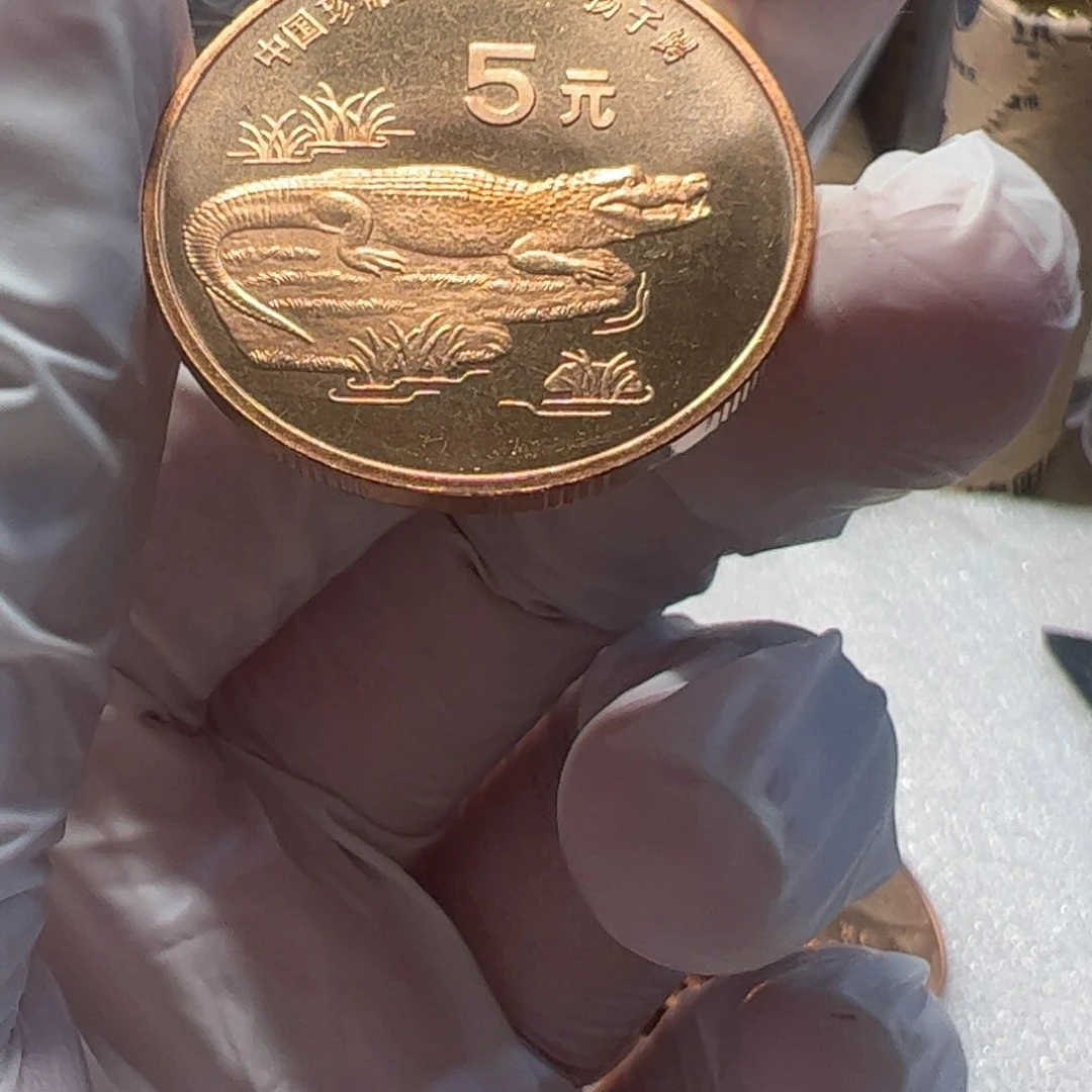 其他普通金属扬子鳄纪念币