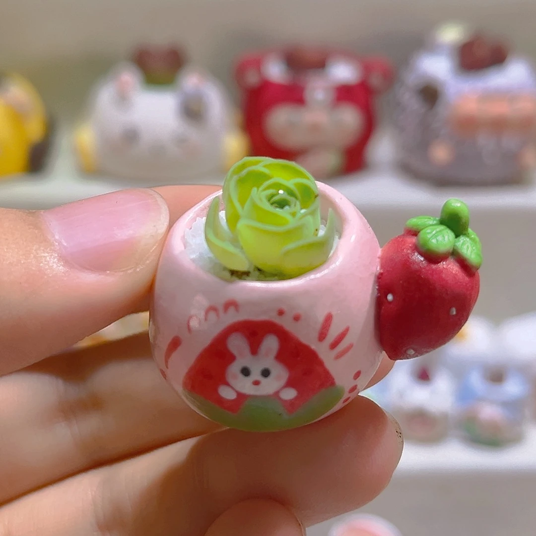 028高端多肉带盆带土