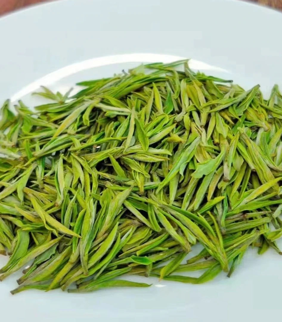 一年一次！年底清仓冲刺福利！天荒坪头春头采安吉白茶