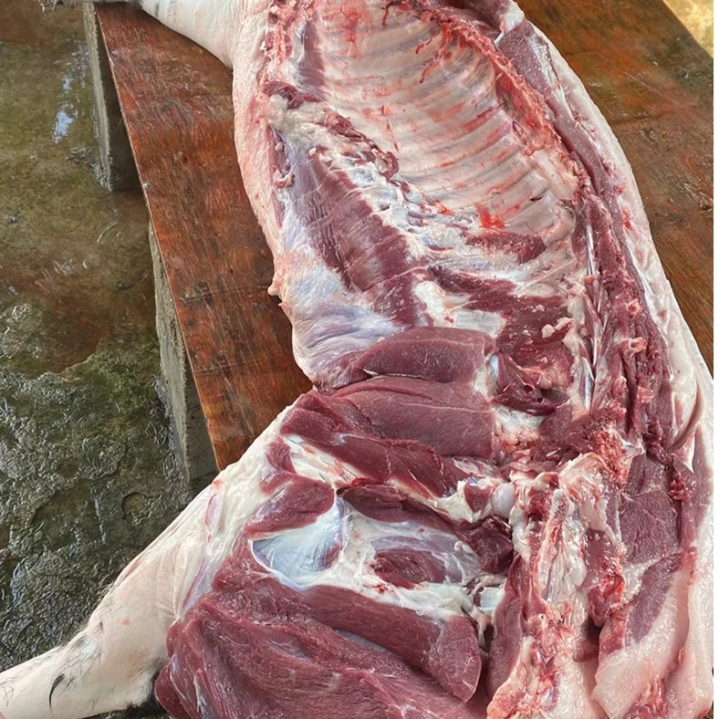 大别山黑毛猪-正宗土猪-五花肉-前后腿肉（重量以直播间现称为准）