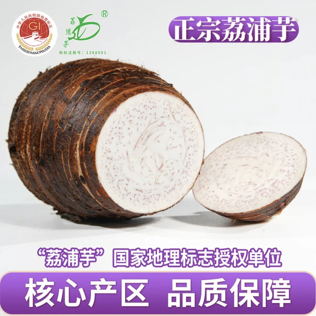 正宗广西荔浦芋头现挖现发芋头新鲜农产品核心产区品质保障香芋头