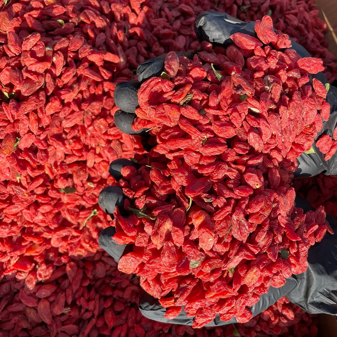 枸杞 تەبىئىي ئالقات