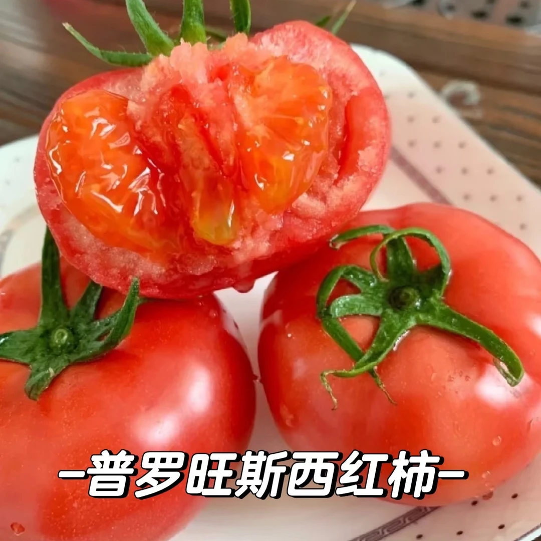 普罗旺斯西红柿四斤装普罗旺斯西红柿山东省山东省烟台市