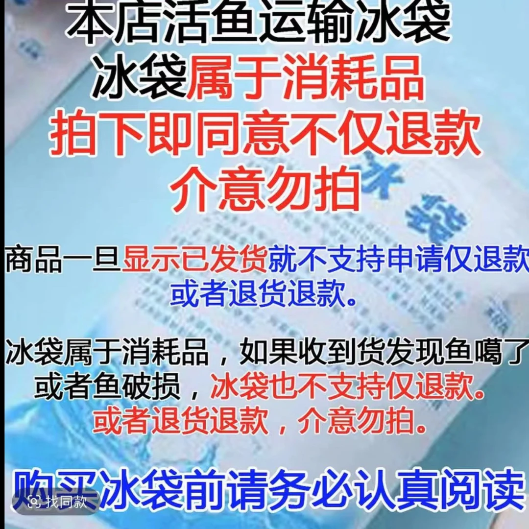 冰袋消耗品拍下即同意不退款不退货介意勿拍