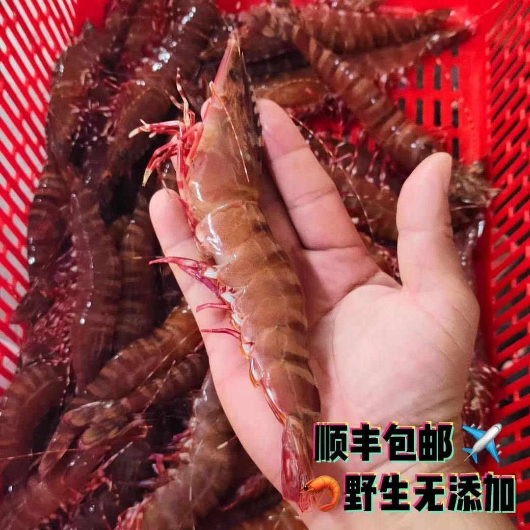青岛野生大大号红爪虾一斤13-15条净重两斤，顺丰冷链发货