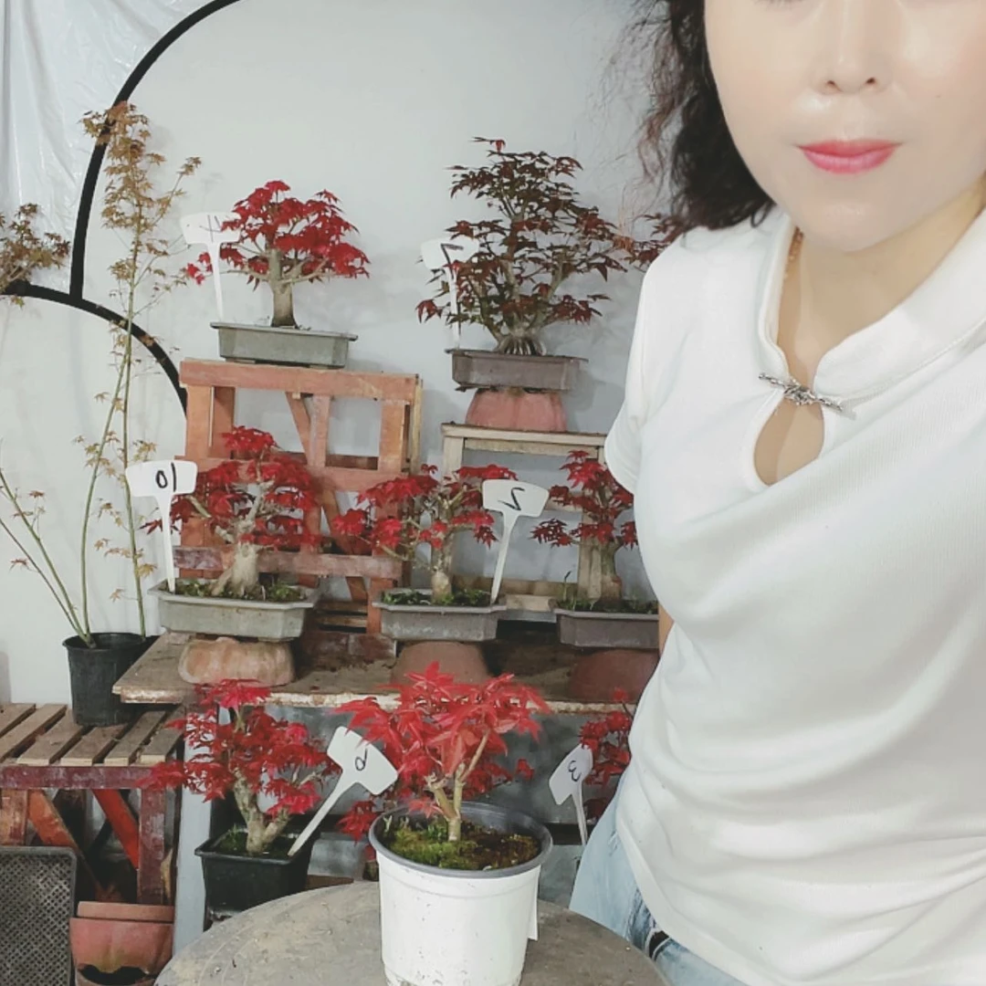 【闪购商品】完全开放用****2