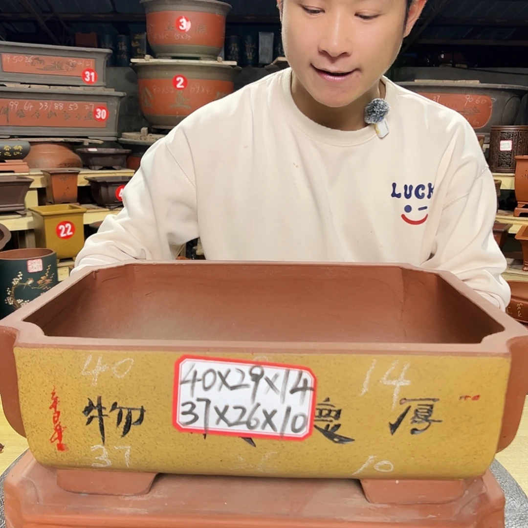 紫砂花盆感谢政府