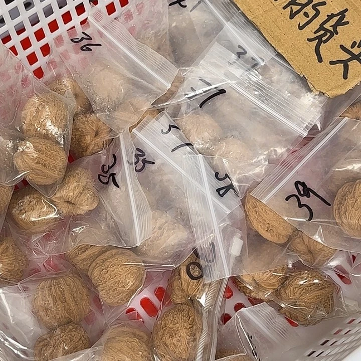 文玩核桃吊坠绣球36以上000