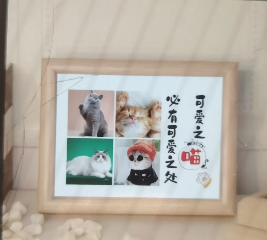 宠物照片相框摆台纪念装饰相册（订金，拍后联系客服）
