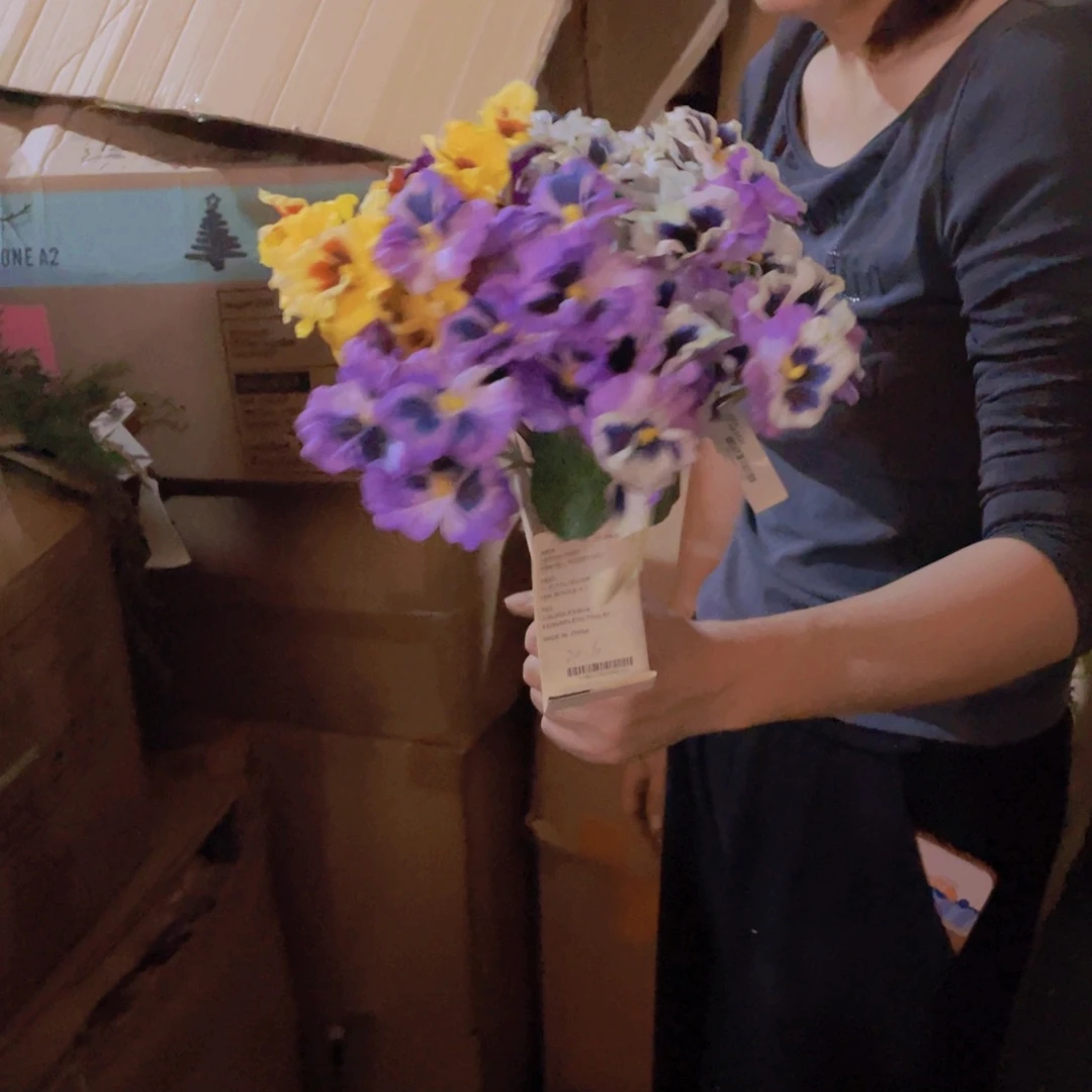 不**姐陶瓷花瓶，仿真绿植。5