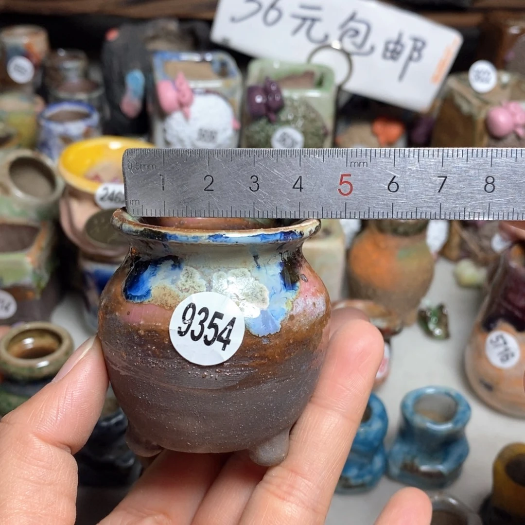 拍5送一个小礼物