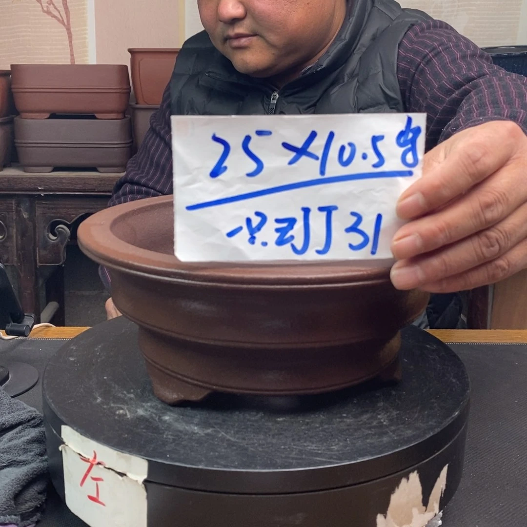 红陶货号一只ZJJ31