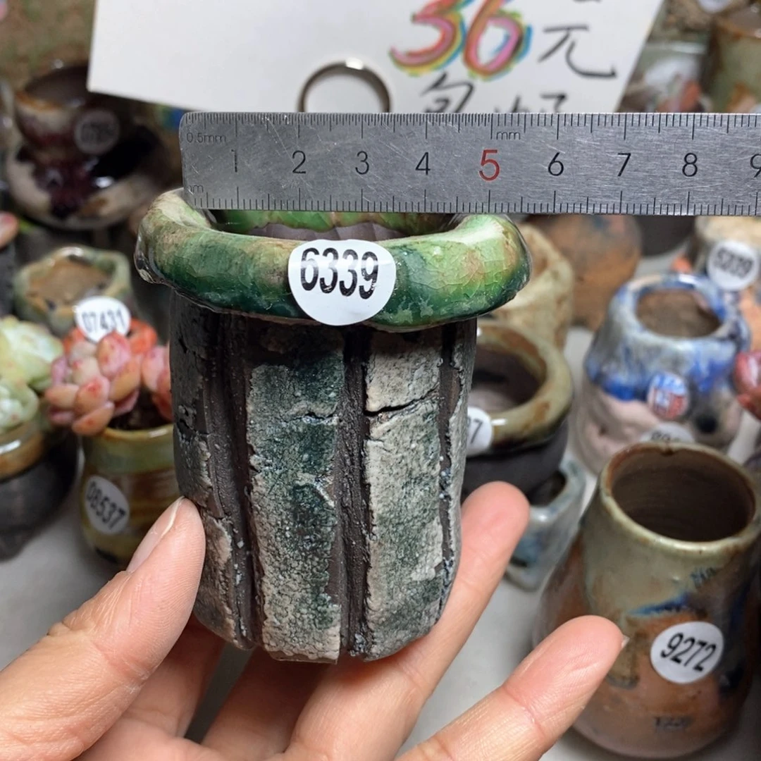 花盆拍3送一个小礼物