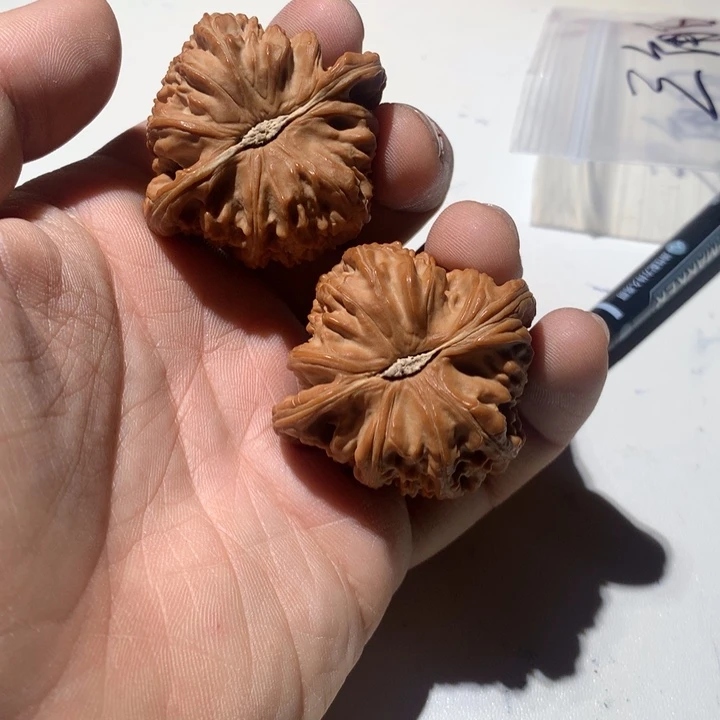 把件文玩核桃白狮子