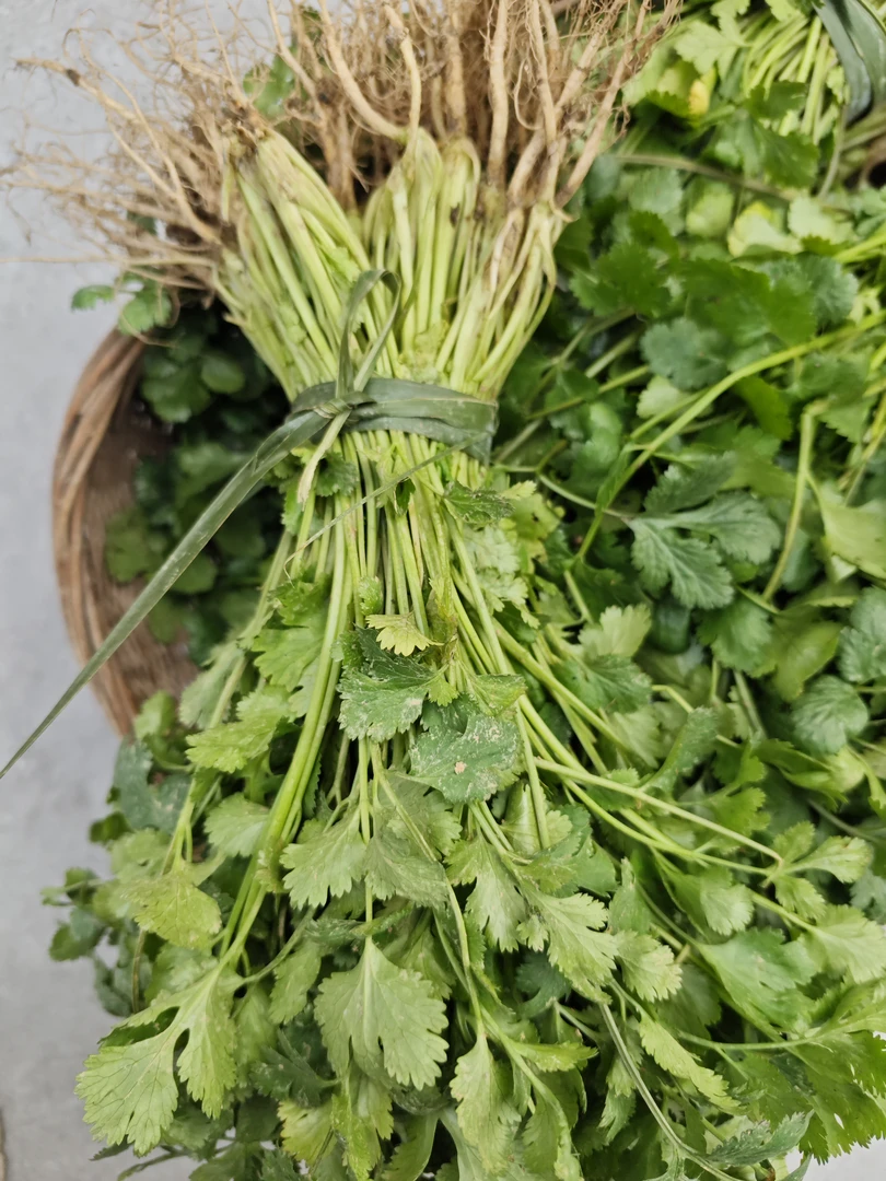 【代买山货】一把香菜（送2斤豆芽）