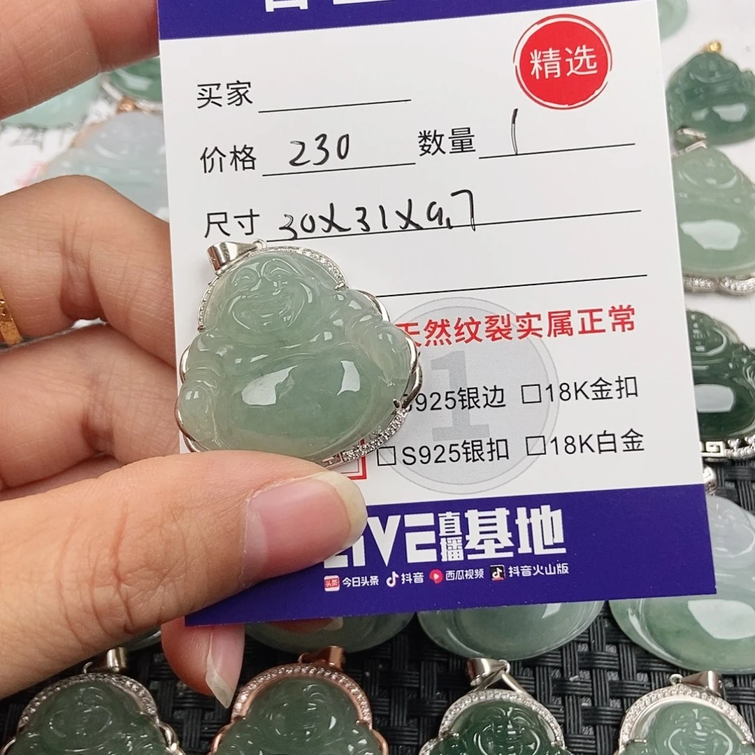 翡翠银S925镶嵌颈饰