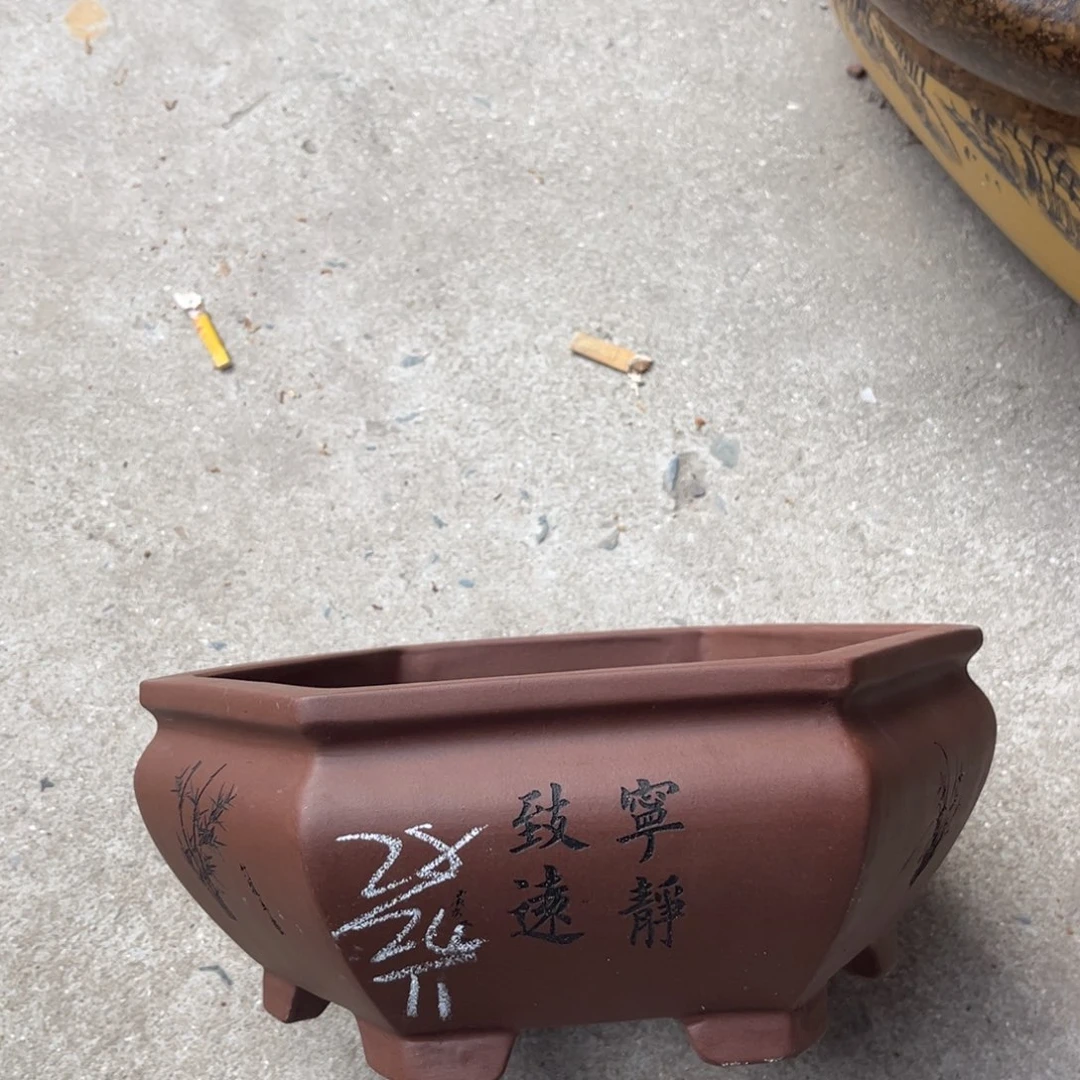 紫砂花盆盆景艺术