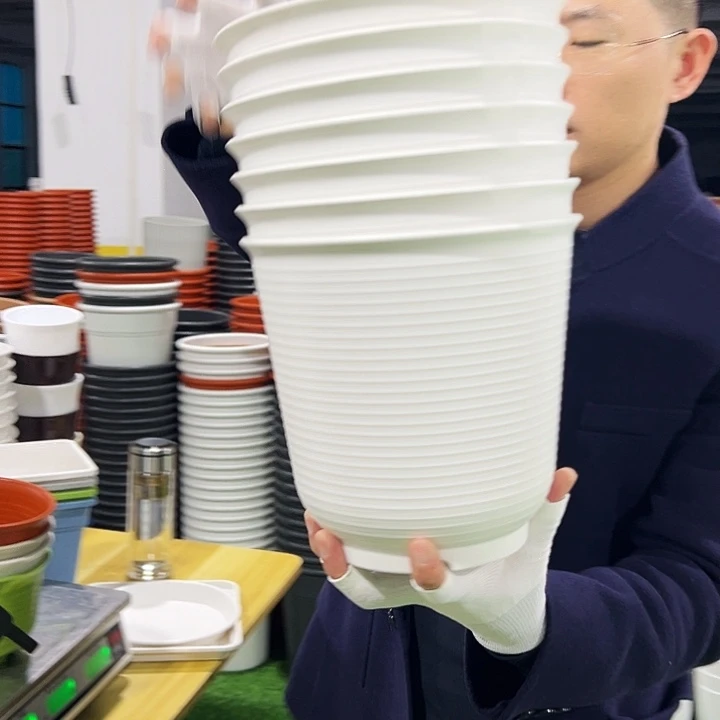 正品高陶口18高18白色8只带托