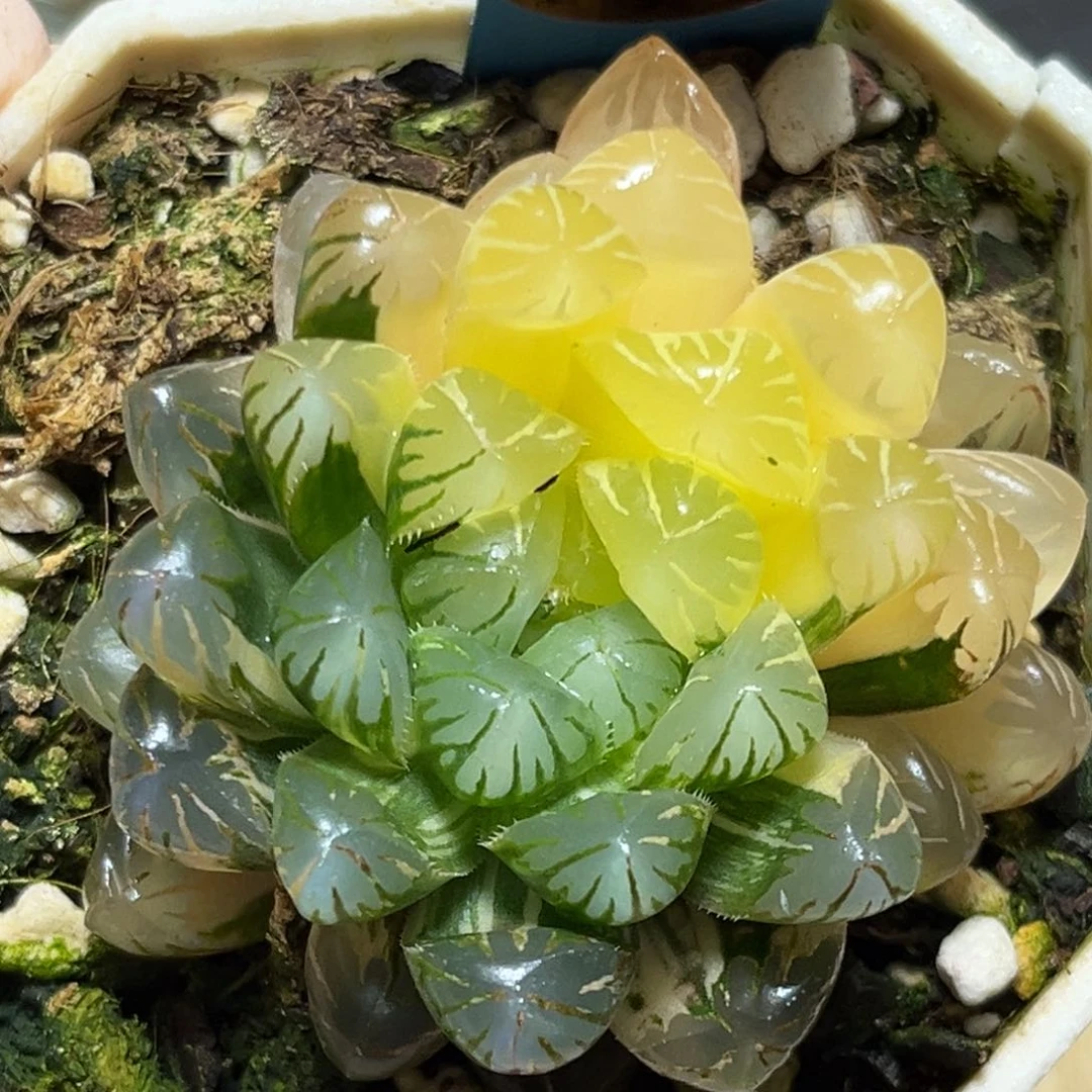 恭喜发财大吉大利0209