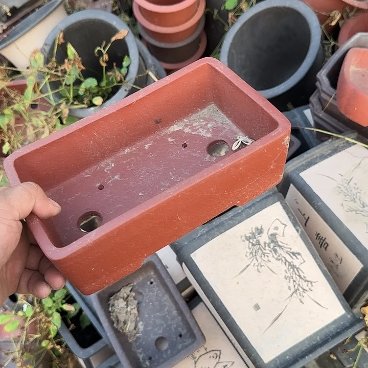 一定有好心情啊打完之后再