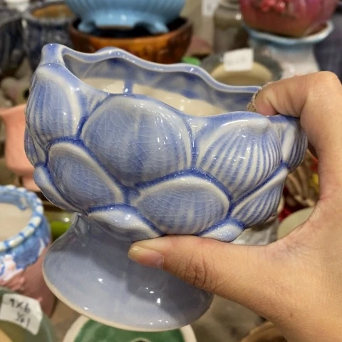 陶瓷D火锅蓝色313131313