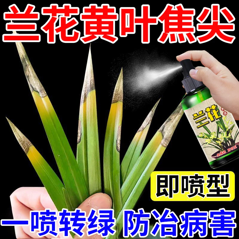 兰花营养液叶黄干尖黑斑茎腐病枯萎快速生根杀菌爆芽专用肥料正品