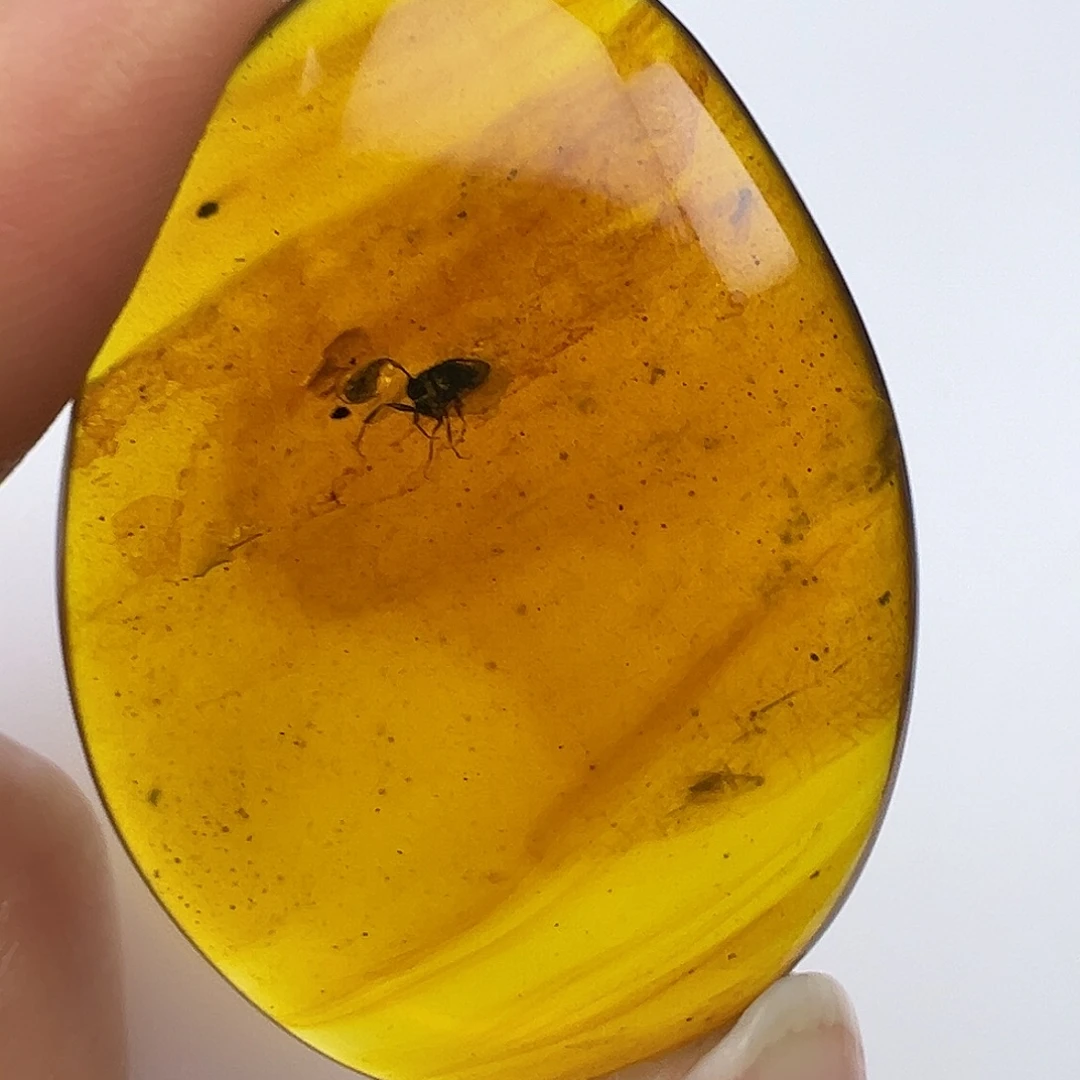 琥珀未镶嵌裸石琥珀虫珀吊坠