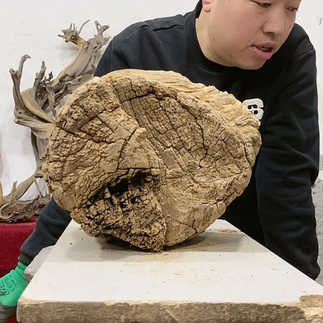 【闪购商品】柏木展****）我们都是好孩子