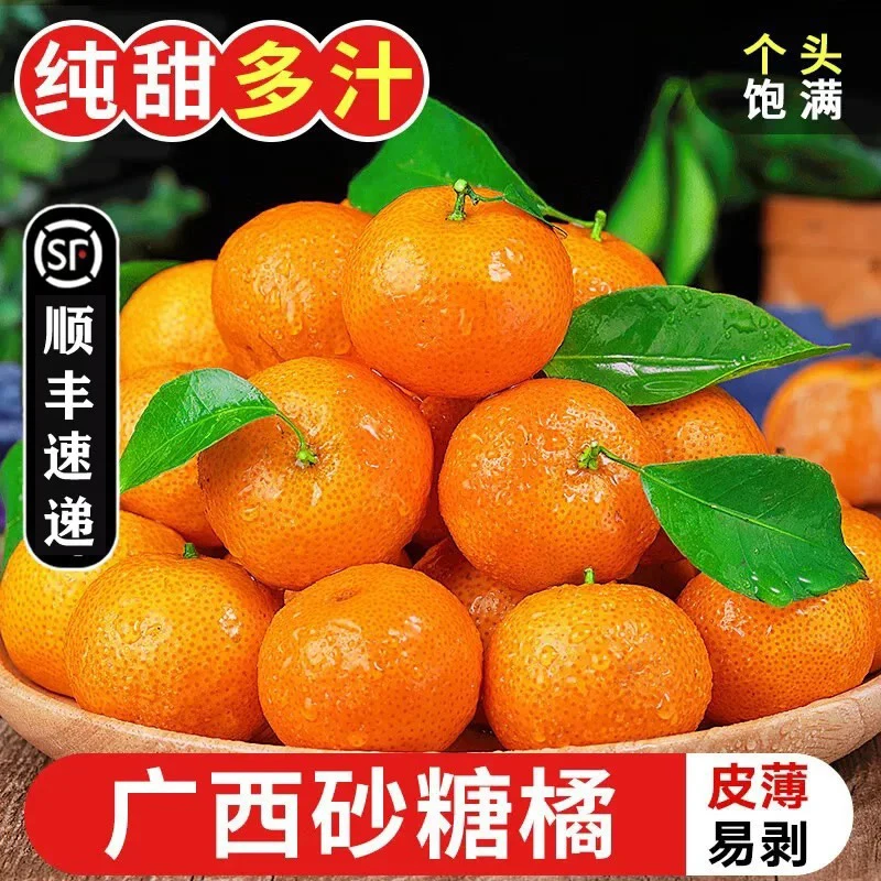 《小军专属》砂糖橘 广西沙糖桔 净果5斤