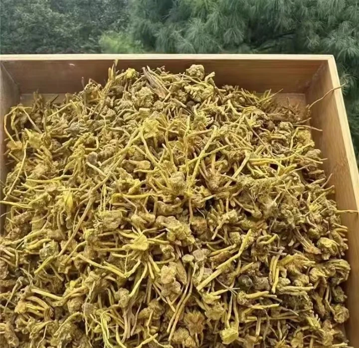 精选高山【帝王根】珍藏500g 老6专属