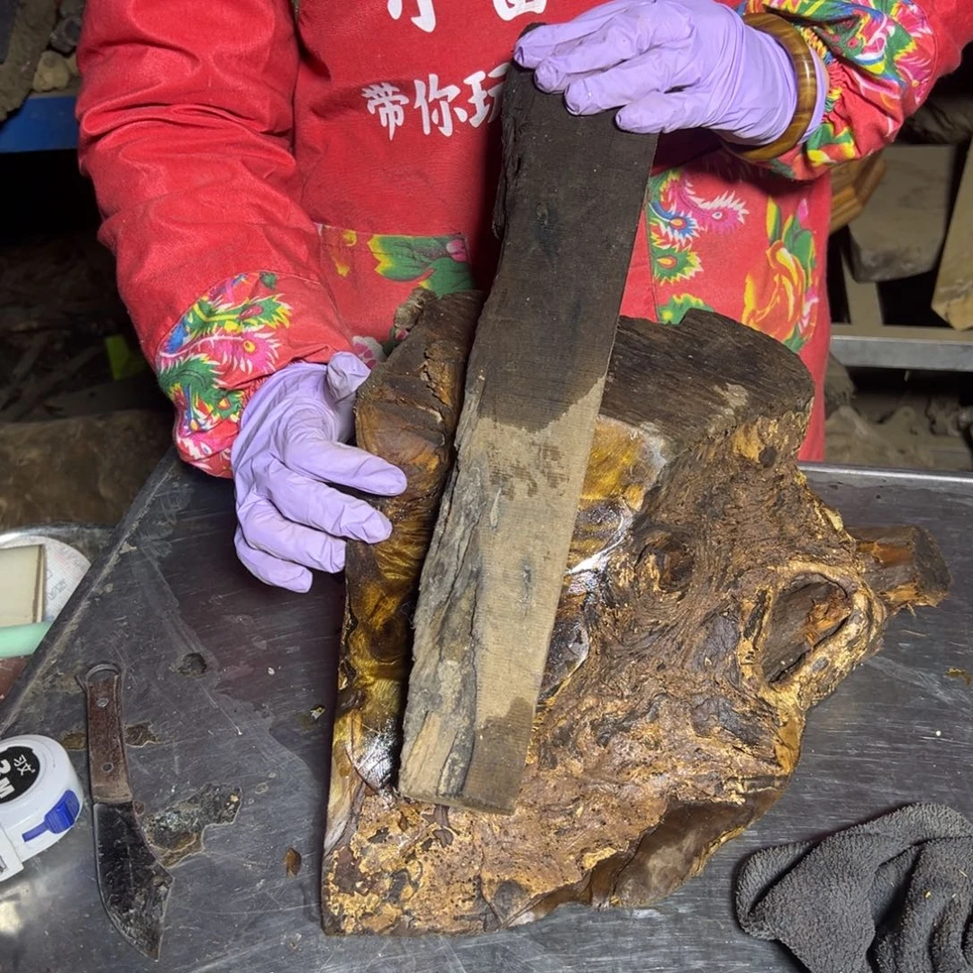 中****金丝楠2222222222222222222