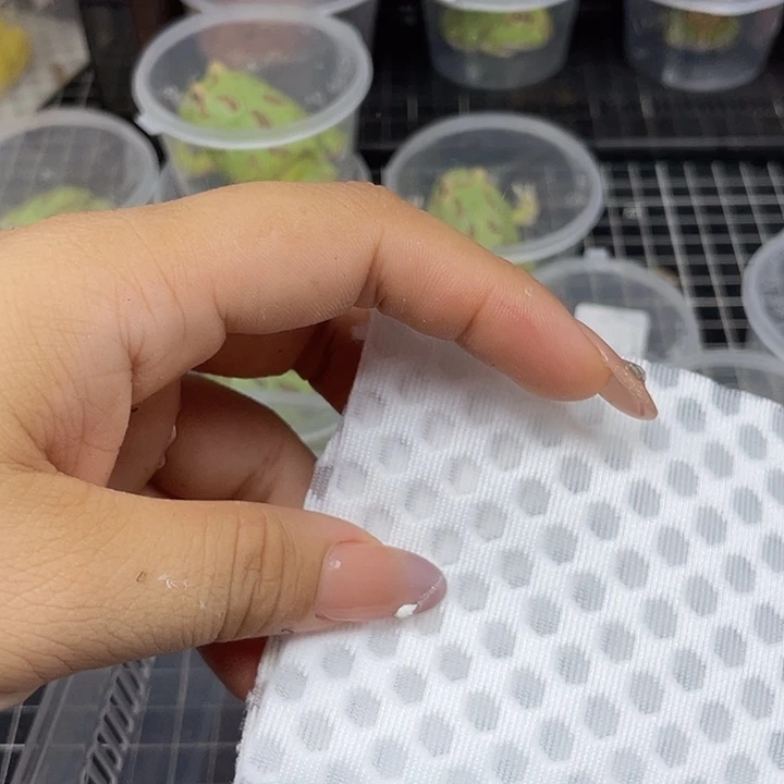 蜂窝棉1.5米*0.3米一包