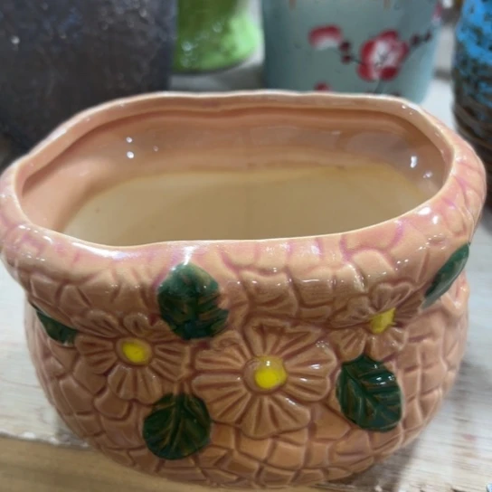 口径不清楚问客服满9元包邮，水培在3号链接