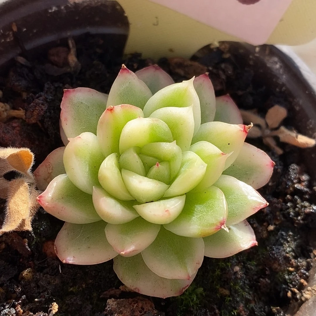 429哈哈哈哈哈哈哈哈