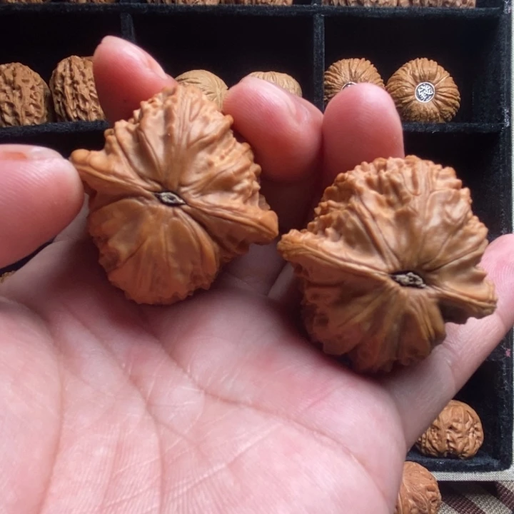 吊坠龙脊菩提全品至尊磨40尺寸