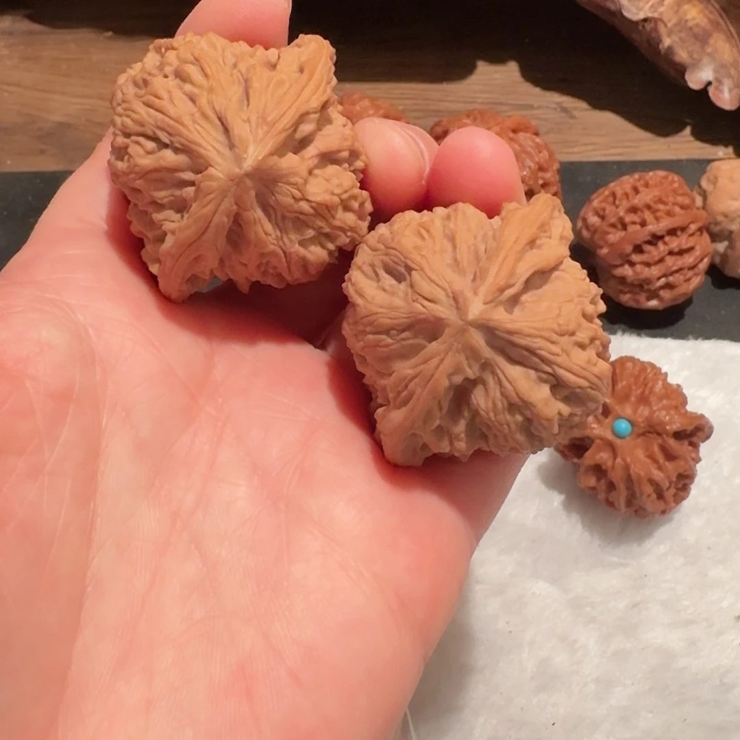 全品南疆石狮子头42