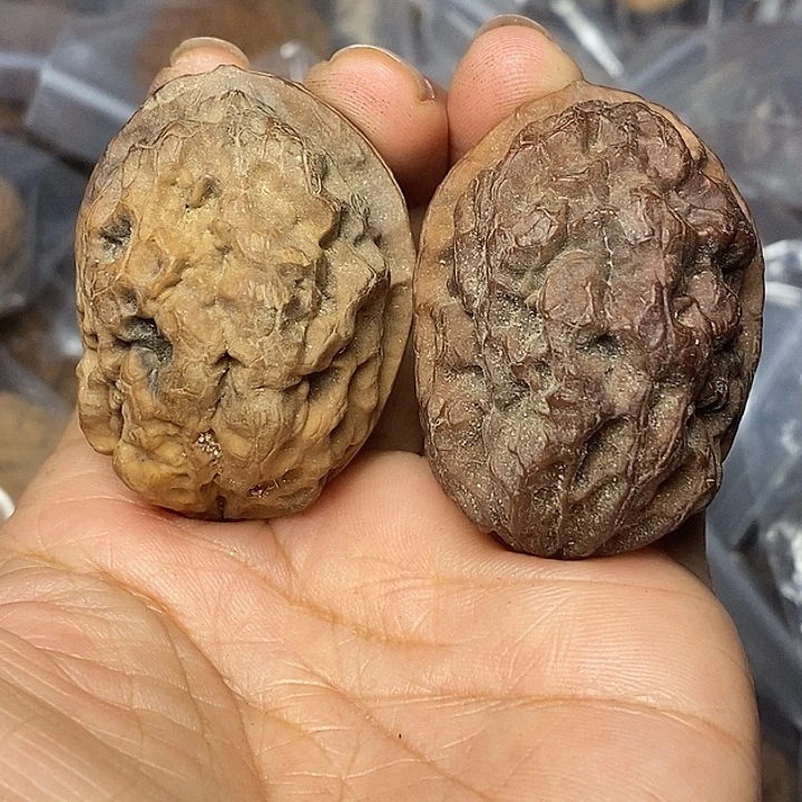 把件文玩核桃云南铁核桃53